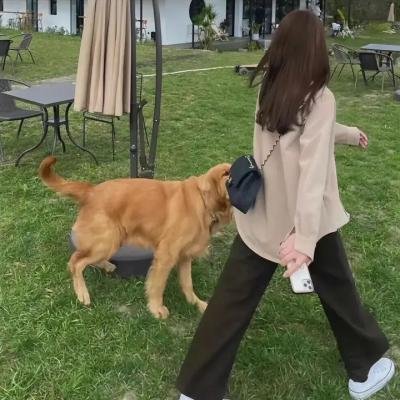 芒果新生班·搭档季