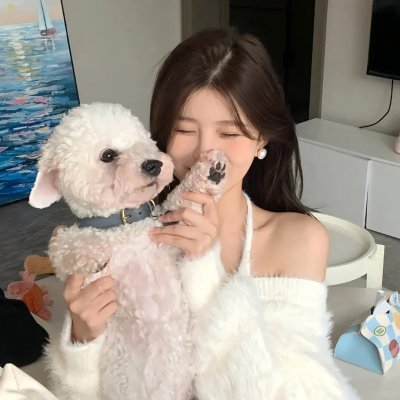 二十七朵玫瑰